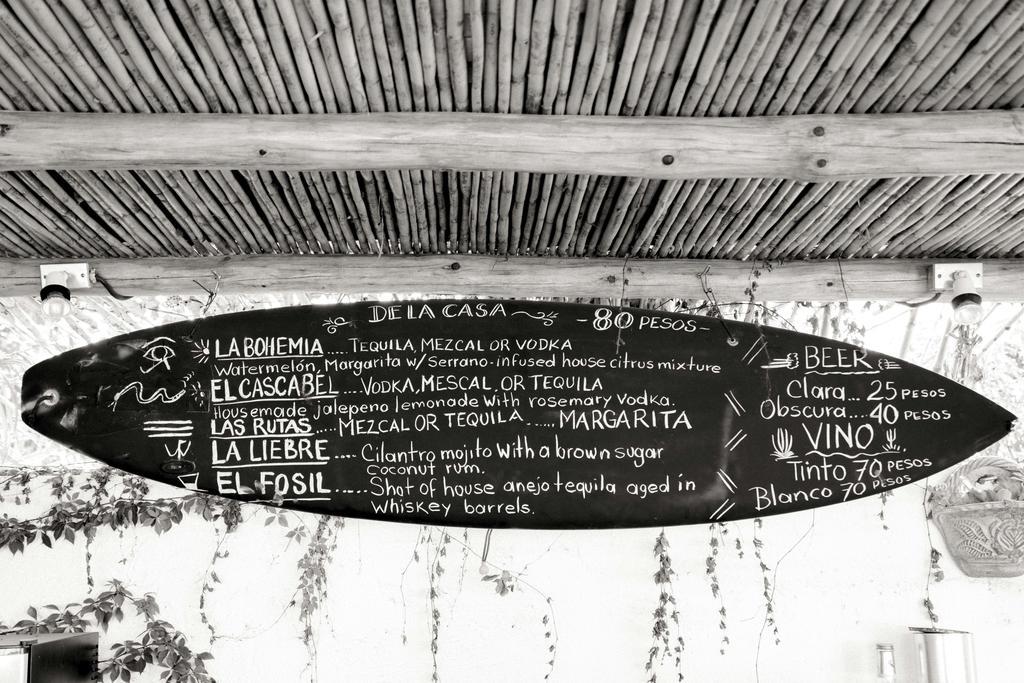 Hotel La Bohemia à Todos Santos Extérieur photo