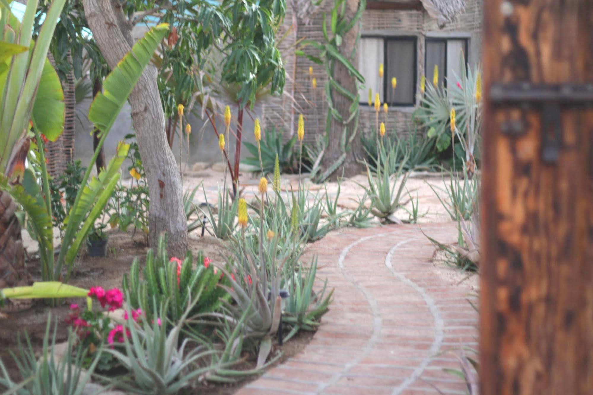 Hotel La Bohemia à Todos Santos Extérieur photo